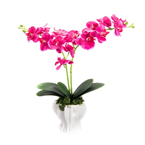 Где Купить Орхидеи В Самаре