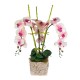 Композиция Три орхидеи 90х60 см