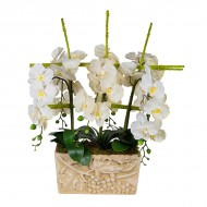 Композиция Орхидеи в садовой вазе