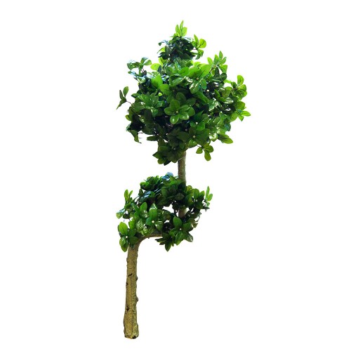 Искусственное дерево Шефлера бонсаи 140 см