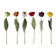Цветок искусственный Тюльпан 56 см