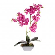 Композиция Орхидеи розовая в горшочке