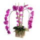 Композиция Орхидея в вазе