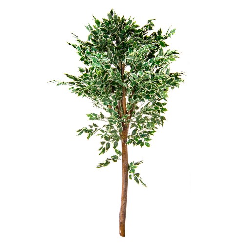Искусственное дерево Фикус 180 см