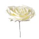 Искусственная головка розы белая флуомеран 40 см