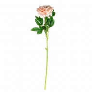 Цветок искусственный Пион «цвета шампань»  75 см