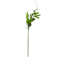 Цветок искусственный  Горошек зелёный 65 см