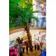 Искусственное дерево  Пальма кокосовая 450 см