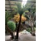 Искусственное дерево  Пальма кокосовая 450 см